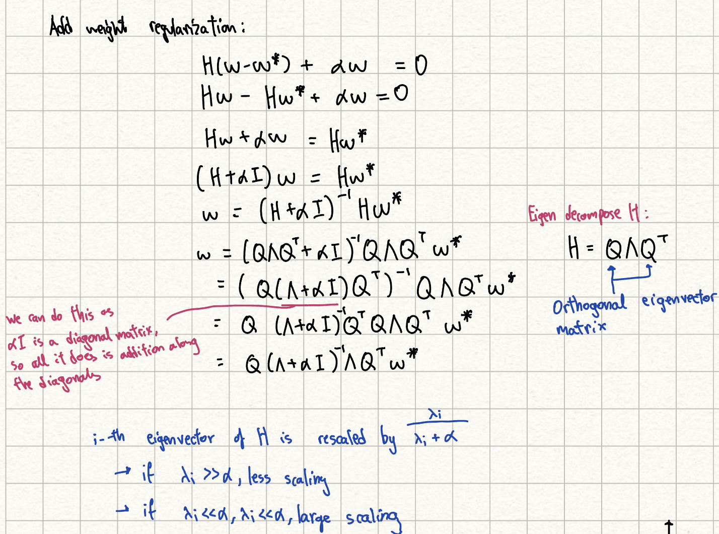 weight regularization